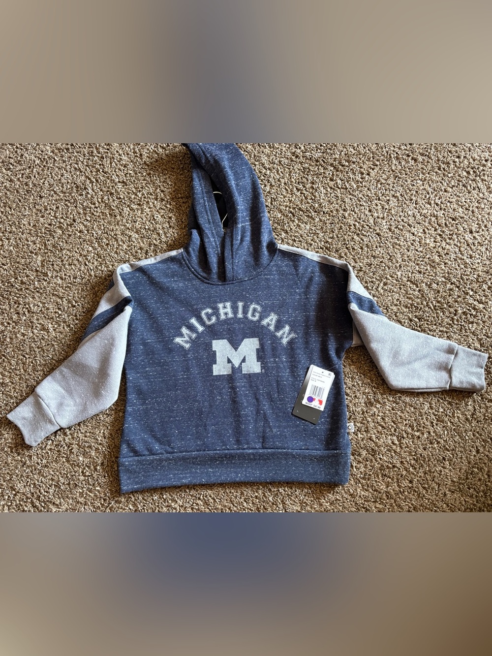 Youth Girls Michigan Hoodie